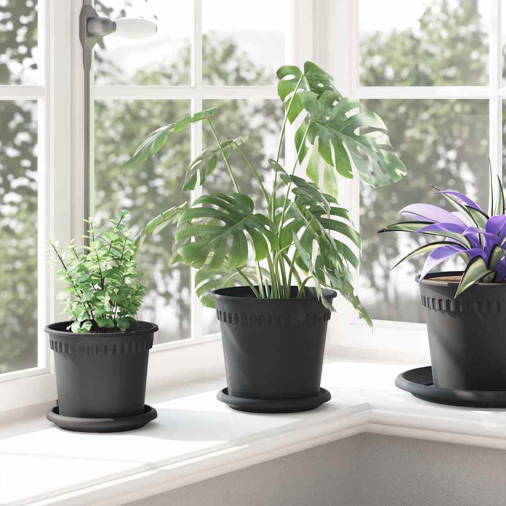 Vassoio Rotondo per Fiori 24 pcs Nero Ø 14 x 2 cm Plastica 42020321
