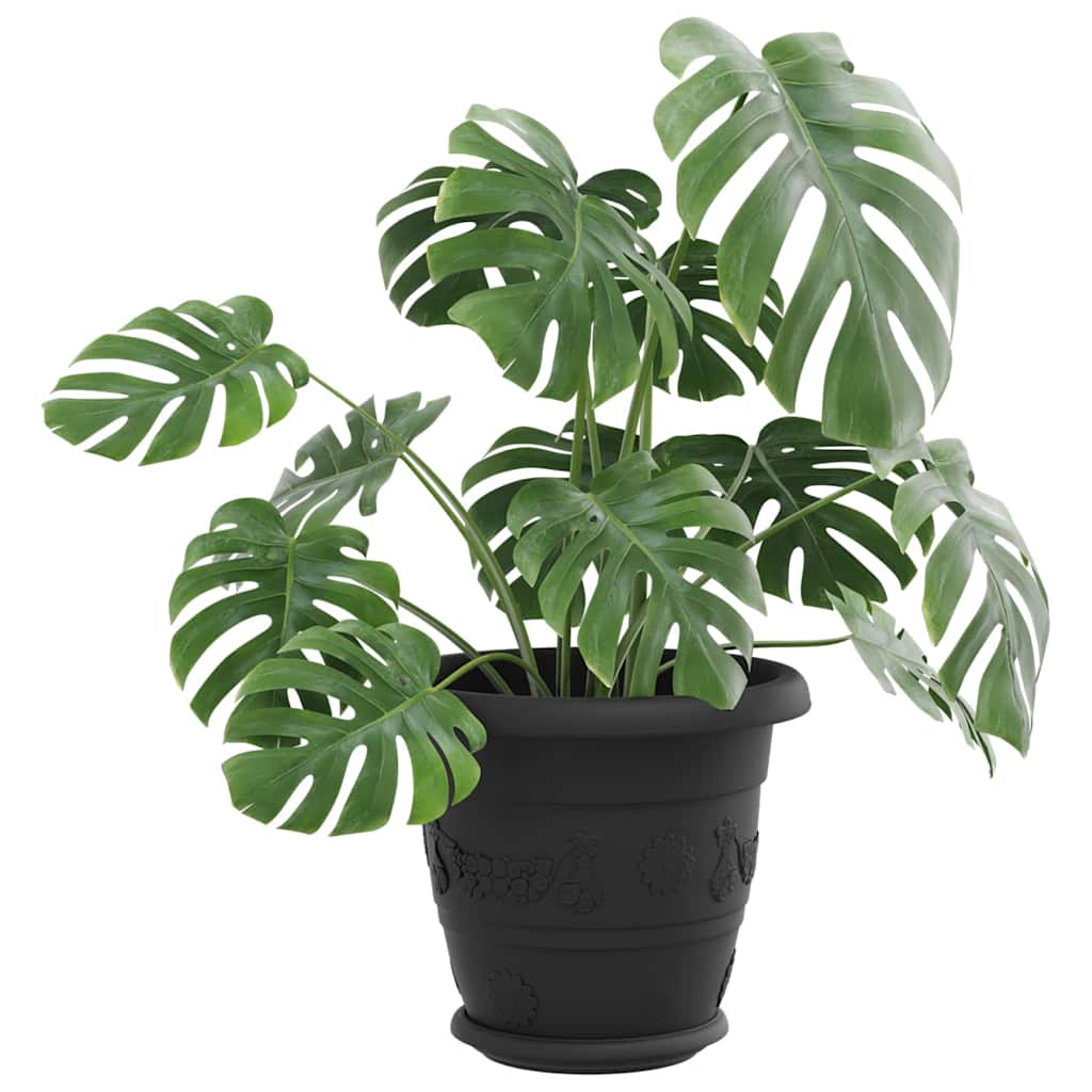 Vassoio Rotondo per Fiori 24 pcs Nero Ø 14 x 2 cm Plastica 42020322