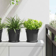 Vasi per Piante 24 pcs Nero Ø 19 x 16 cm Plastica 3403269