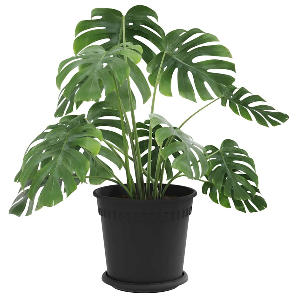 Vasi per Piante 24 pcs Nero Ø 19 x 16 cm Plastica 3403269