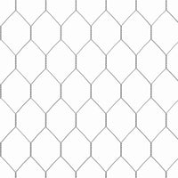 Gabbia per polli Argento 200x170x177cm Acciaio zincato 42023409