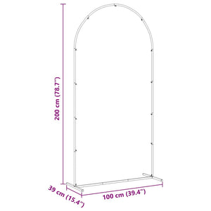 Arco Nuziale Oro 100 x 39 x 200 cm Acciaio 42023036