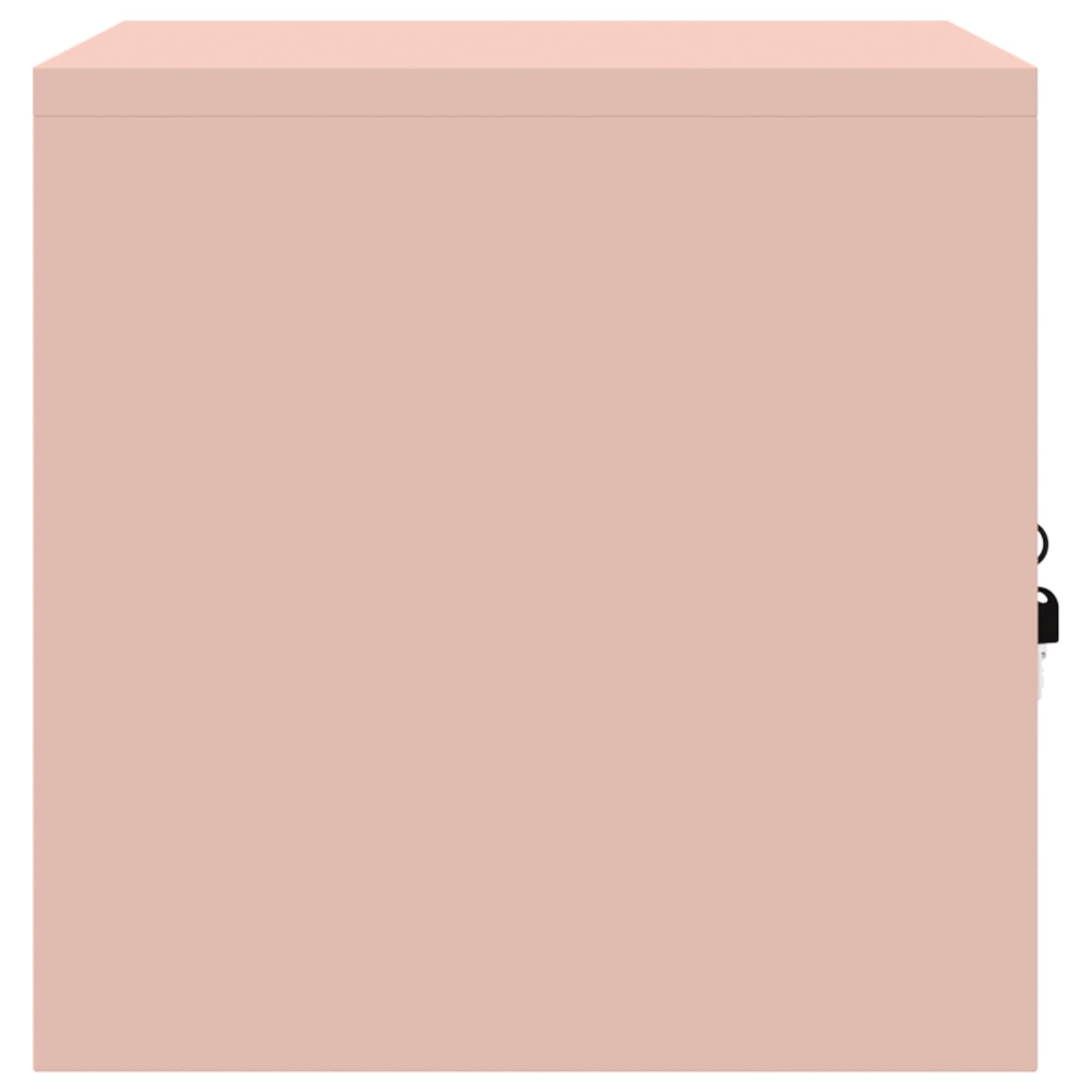 Armadio Rosa 60 x 40 x 40 cm Acciaio laminato a freddo 891713