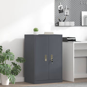 Armadio Antracite 60 x 40 x 90 cm Acciaio laminato a freddo 891726
