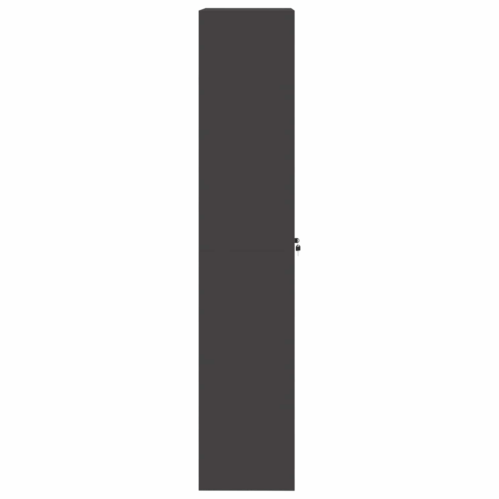 Armadio 2 pcs Nero 60 x 40 x 200 cm Acciaio laminato a freddo 3406202