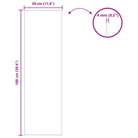 Specchio da parete 30 x 100 cm vetro temperato 42023022