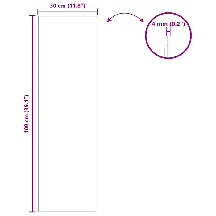 Specchio da parete 30 x 100 cm vetro temperato 42023022