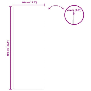 Specchio da parete 40 x 100 cm vetro temperato 42023025
