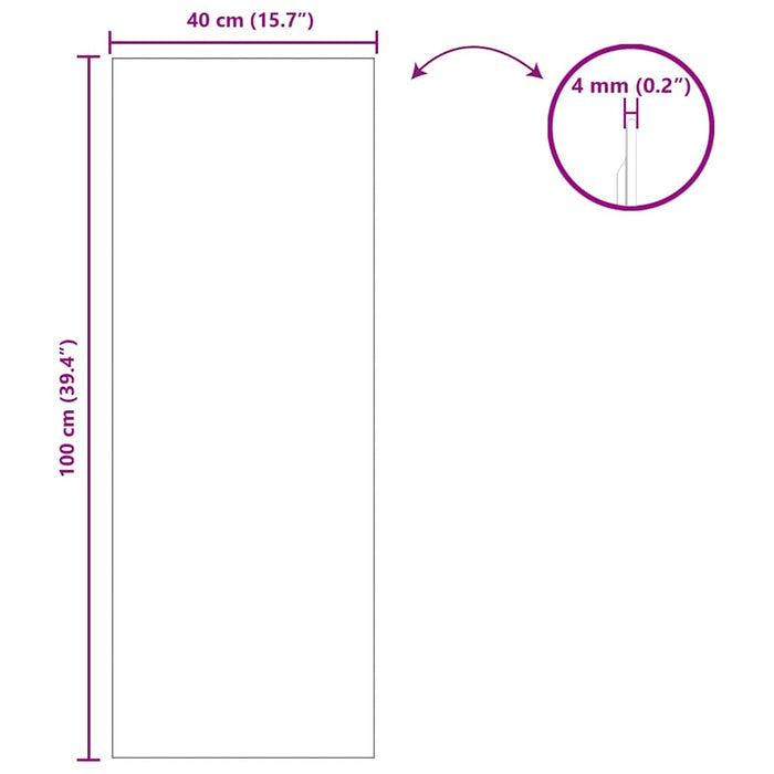 Specchio da parete 40 x 100 cm vetro temperato 42023025
