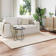 Tappeti per area SIROLO Beige 170 x 120 cm Poliestere 42022741