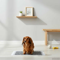 Pannello per addestramento degli animali domestici 200 pcs 42025310