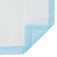 Pannello per addestramento degli animali domestici 50 pcs 42025320