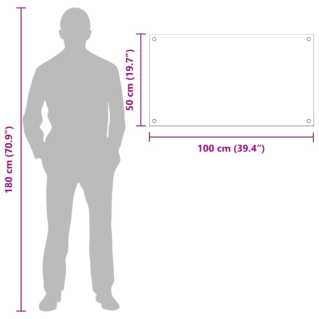 Rivestimento da Cucina Trasparente 100 x 50 x 0.8 cm 3415540