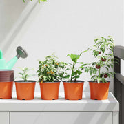 Vaso per Fiori 100 pcs Ceramica Ø 15 x 12.5 cm Plastica 42029485
