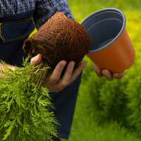 Vaso per Fiori 100 pcs Ceramica Ø 15 x 12.5 cm Plastica 42029485