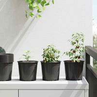 Vaso per Fiori 100 pz-Fioriera Piccola-Contenitore per Piante Nero ? 15 x 13 cm Plastica