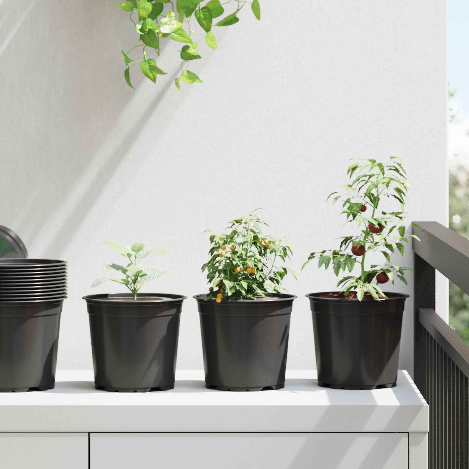Vaso per Fiori 200 pz-Fioriera Piccola-Contenitore per Piante Nero ? 15 x 13 cm Plastica