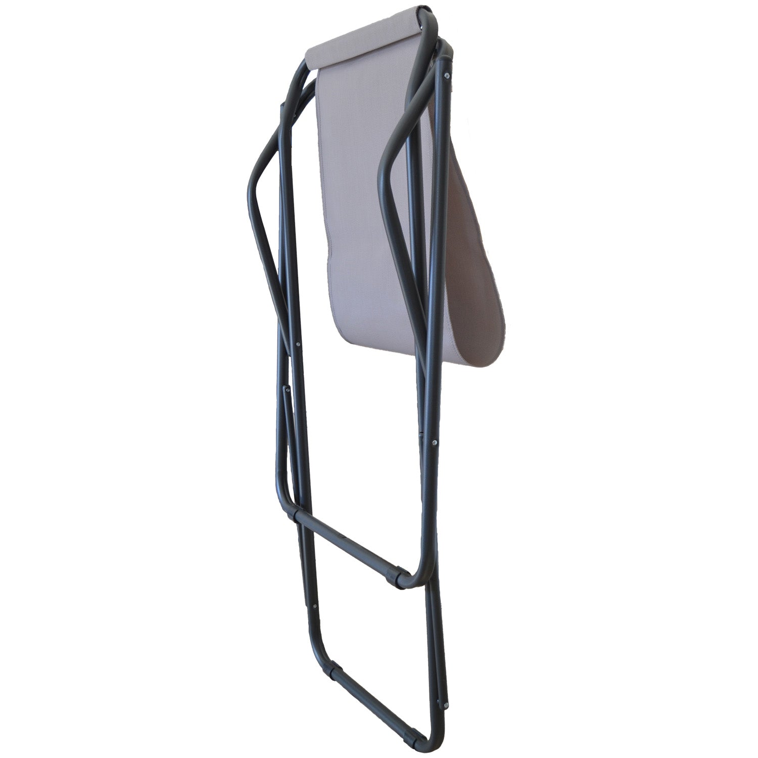 SDRAIO SWING BASIC. TORTORA