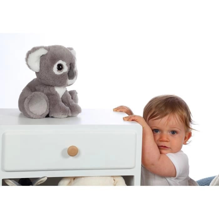 Peluche - Gipsy Toys - Puppy Eyes Pets Nature - 22 cm - Koala