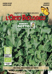 SEMENTI RUCOLA COLTIVATA DA ORTO