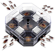 Cattura Insetti Herbruikbaar - Cattura Cimici - Insetti Vengono Catturati - Materiale Sostenibile in Plastica - 137x137 mm - Amichevole con l'ambiente - Controllo Zanzare