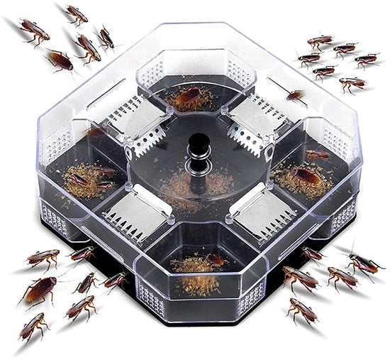 Cattura Insetti Herbruikbaar - Cattura Cimici - Insetti Vengono Catturati - Materiale Sostenibile in Plastica - 137x137 mm - Amichevole con l'ambiente - Controllo Zanzare