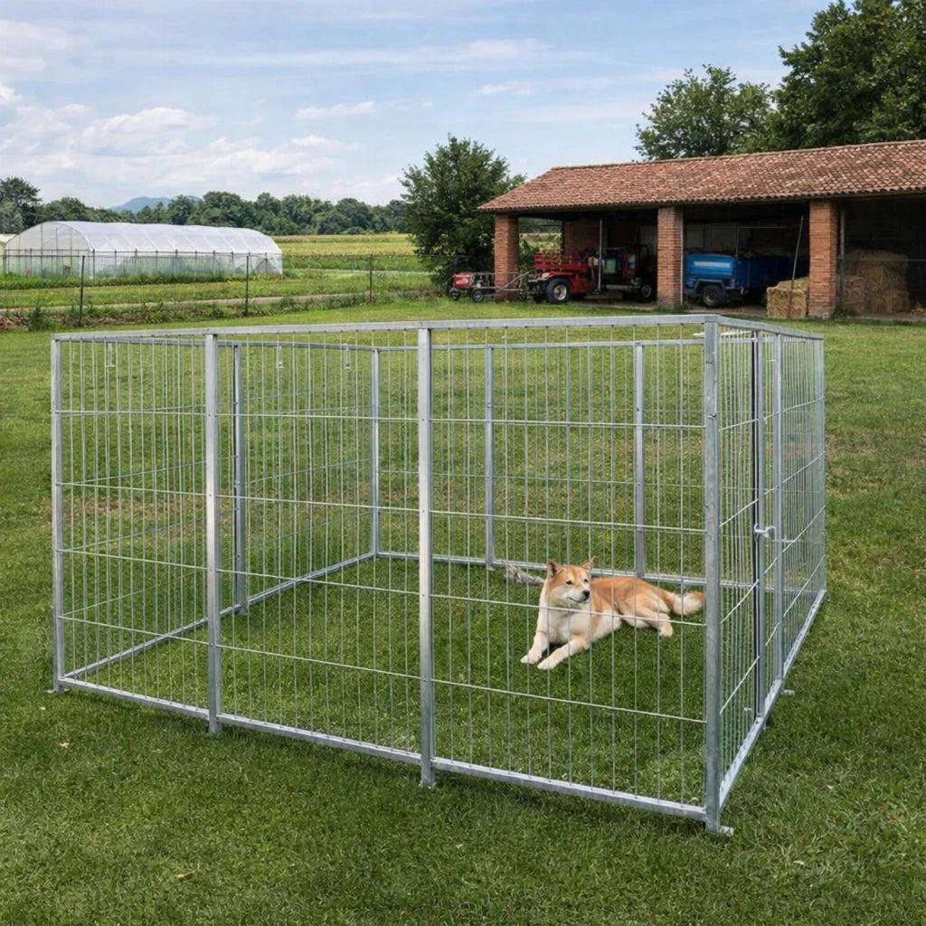 Box per cani da esterno zincatura a caldo 300x200x altezza 180 centimetri