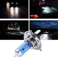 Bosch Lampadina Xenon Blue