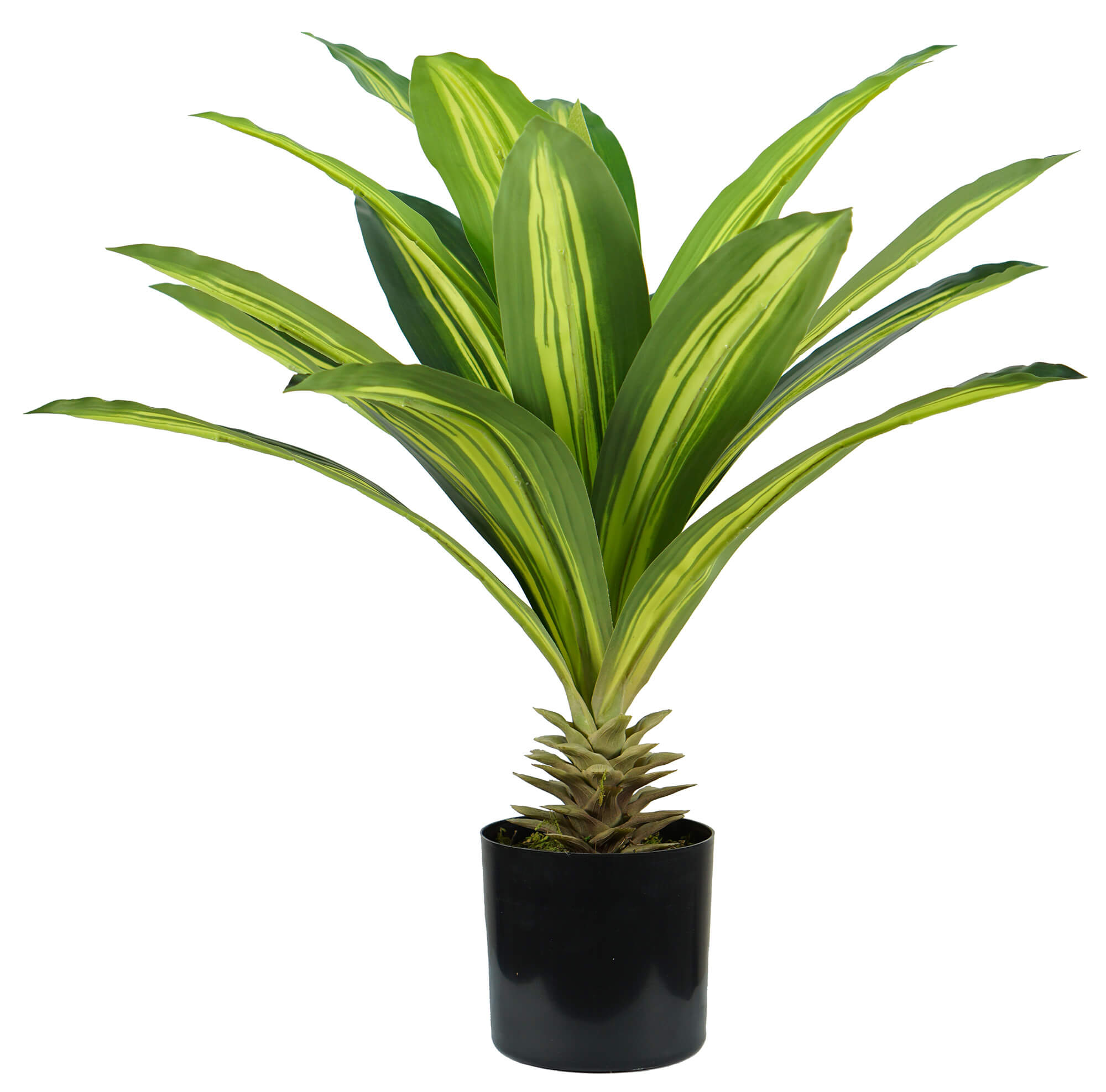 Pianta Artificiale Dracaena H60 cm con Vaso Verde