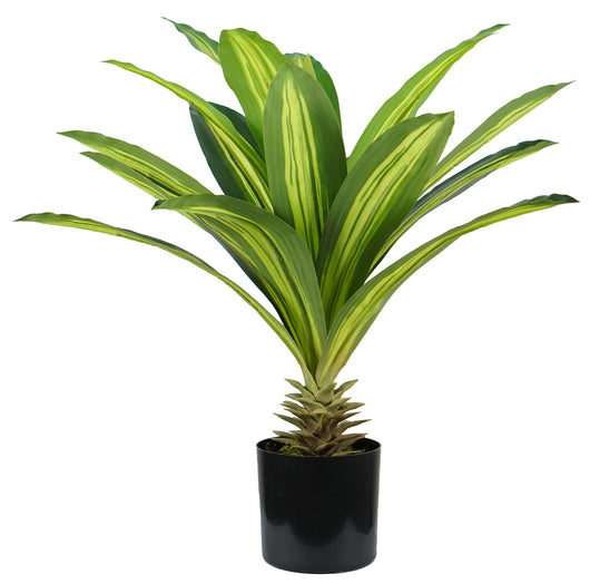 Pianta Artificiale Dracaena H60 cm con Vaso Verde