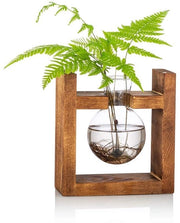 Vaso per piante con supporto in legno - contenitore per terrarium - vaso per erbe - sostenitore di piante acquatiche - adatto per uso domestico - design in vetro - vaso per piante