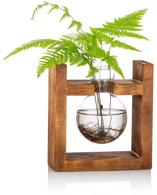 Vaso per piante con supporto in legno - contenitore per terrarium - vaso per erbe - sostenitore di piante acquatiche - adatto per uso domestico - design in vetro - vaso per piante