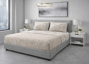 Completo Lenzuola Letto 100% Cotone Made In Italy Disegno Mitril - Singolo - Bronzo