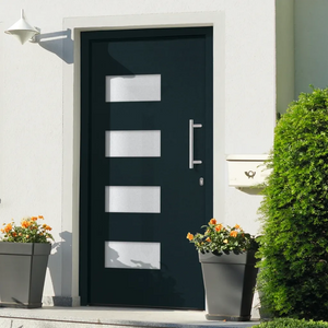 Porta d'Ingresso in Alluminio e PVC Antracite 100x200 cm 3056824