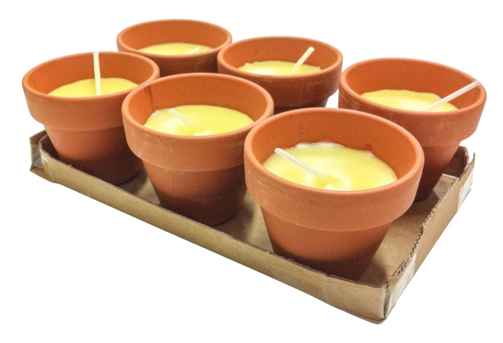 KIT CANDELE ALLA CITRONELLA IN TERRACOTTA Ø cm 6x6h - confezione 6 pezzi