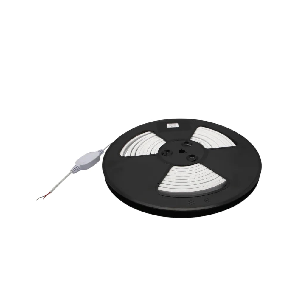 Striscia LED neon flex 220V 5m tagliabile ogni 1m 9W/m luce fredda 6000K IP67