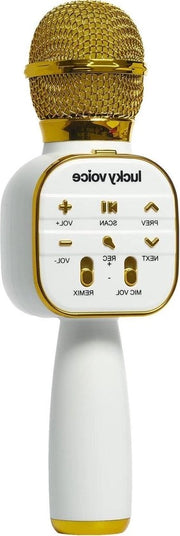 Microfono Karaoke Bluetooth con Altoparlante Integrato, Oro, Portatile Mini, per Adulti e Bambini - Cambia Voce con Echo - 10.000 Numeri di Canzoni in Accesso Gratuito