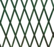Estensibile in legno 100x200 verde