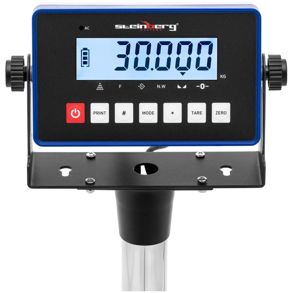 Bilancia a piattaforma professionale industriale bilancia pesapacchi 30 kg / 0,001 kg 30 x 40 cm kg/lb con schermo LCD ABS acciaio inossidabile PVC acciaio al carbonio 14_0008356
