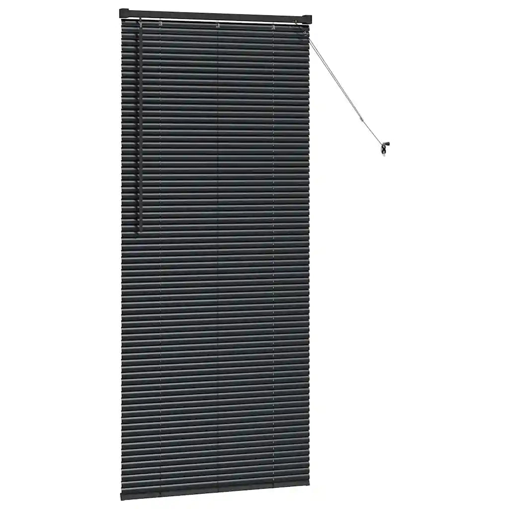 Tendaggi a Veneziana | Tenda a lamelle Nero 175 x 75 cm Alluminio