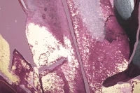 Stampa Dipinta Dark Leaves cm 80X3X120