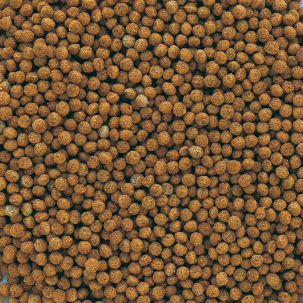 Tetra Goldfish Granules - Mangime in granuli galleggianti per pesci rossi e altri pesci d'acqua fredda Formato: 100 ml