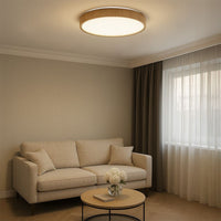Lampada Da Soffitto G116-c 40cm Wood