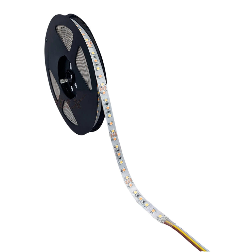 Striscia LED CCT Kanlux 5m 80W 12V dimmerabile bianco
