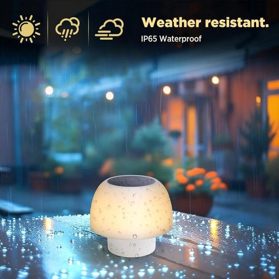 Lampada da Tavolo LED Ricaricabile – 4 Livelli di Brillantezza, Energia Solare e Batteria – Lampada da Notte per Camera da Letto, Bambini e Decorazione