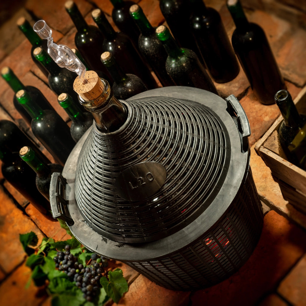 KADAX Lady's Balloon 20L Carboy per vino e liquori in un cestello Bottiglia da un gallone per vino con tappo
