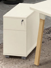 Cassettiera con 1 cassetto ed 1 classificatore su ruote cm. 33/45x58x55h
