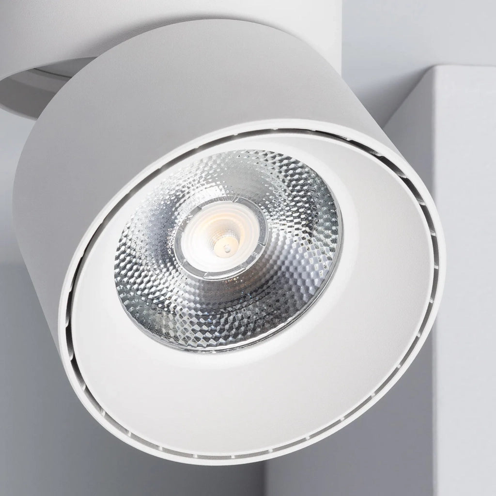 Faretto LED 30W bianco caldo Abruzzo Romeo LPR-30W