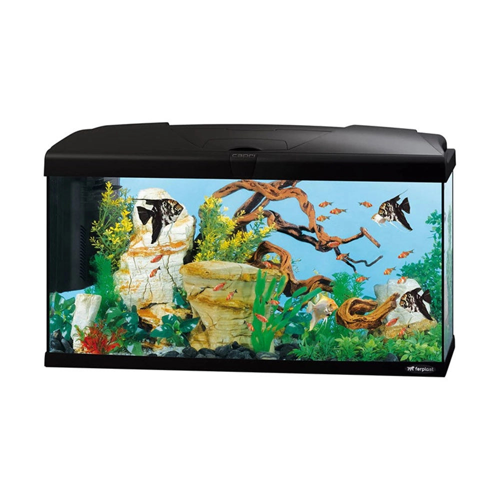 Ferplast Capri 80 LED - Acquario Completo senza Supporto Colore: Nero