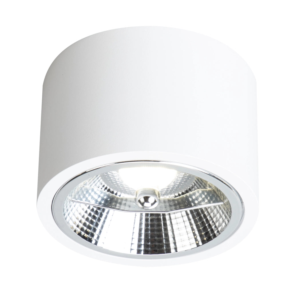 Faretto plafone esterno tondo bianco AR111 15W Milagro